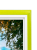 картинка Фоторамка 15Х21 627878(KS1715-5) светлый зеленый с полосой с акриловым стеклом от магазина МОЛТИ