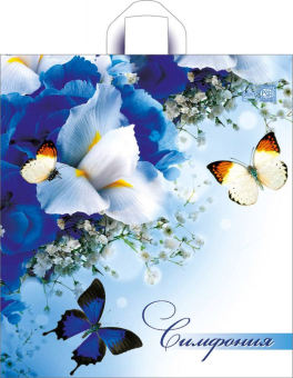 картинка Пакет Синяя симфония-пакет петлевой ПВД 440x400x0,043 от магазина МОЛТИ