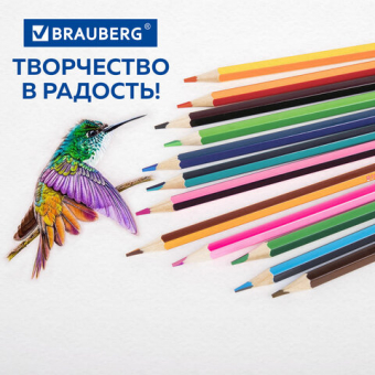 картинка Карандаши с двухцветным грифелем BRAUBERG BICOLOUR, 12 штук, 24 цвета, шестигранные, грифель 3 мм, натуральное дерево, 181855 от магазина МОЛТИ