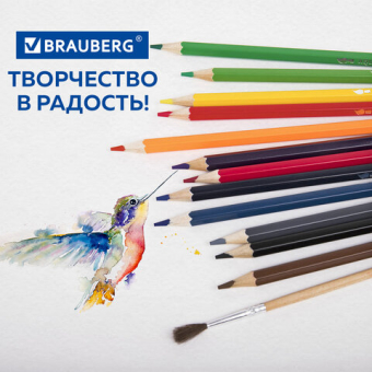 картинка Карандаши цветные акварельные классические мягкие BRAUBERG 12 цветов с КИСТЬЮ, 181848 от магазина МОЛТИ