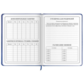 картинка Дневник 1-4 класс 48 л., кожзам (твердая с поролоном), печать, аппликация, ЮНЛАНДИЯ, "Гонка!", 106214 от магазина МОЛТИ