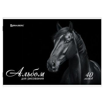 картинка Альбом для рисования, А4, 40 листов, скоба, обложка картон, BRAUBERG, 200х283 мм, "Благородные кони" (2 вида), 103728 от магазина МОЛТИ