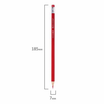 картинка Карандаши цветные стираемые с ластиком BRAUBERG ERASABLE, 12 цветов, шестигранные, грифель 3 мм, натуральное дерево, 181932 от магазина МОЛТИ