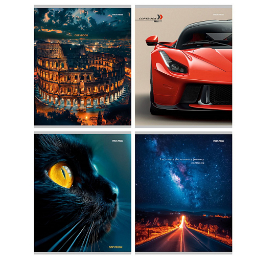 Тетрадь КЛЕТКА 96л. МИКС-9521 (96-9521) (цвет.мелов.обл.)