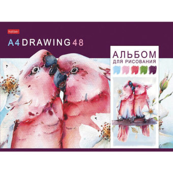 картинка Альбом для рисования, А4, 48 листов, скоба, обложка картон, HATBER, 205х290 мм, "Акварельная палитра", 067588, 48А4В от магазина МОЛТИ