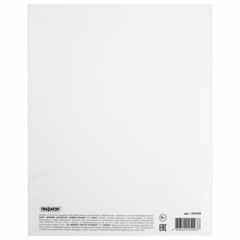 картинка Дневник 1-11 класс 40 л., на скобе, ПИФАГОР, обложка картон, БЕЛЫЙ, 105509 от магазина МОЛТИ