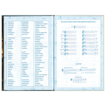 картинка Дневник для музыкальной школы 140х210 мм, 48 л., твердый, BRAUBERG, выборочный лак, справочный материал, "Симфония", 103601 от магазина МОЛТИ