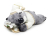 картинка Коала с подушкой 30см 333-SK мягкая игрушка от магазина МОЛТИ