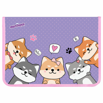 картинка Папка для труда на молнии ЮНЛАНДИЯ А4, 1 отделение, откидная планка, органайзер, "Best fellows", 273392 от магазина МОЛТИ