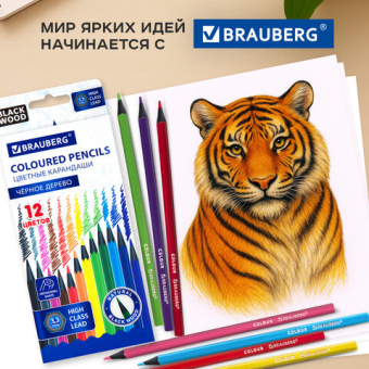 картинка Карандаши цветные BRAUBERG, 12 цветов, шестигранные, грифель 3,3 мм, черное дерево, 181856 от магазина МОЛТИ