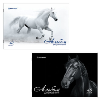 картинка Альбом для рисования, А4, 40 листов, скоба, обложка картон, BRAUBERG, 200х283 мм, "Благородные кони" (2 вида), 103728 от магазина МОЛТИ