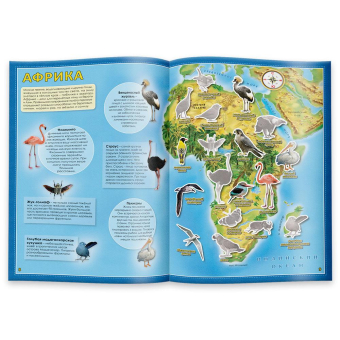 картинка Атлас Мира с наклейками. Птицы и насекомые. 21х29,7 см. 16 стр. ГЕОДОМ (ISBN 978-5-906964-74-8) от магазина МОЛТИ