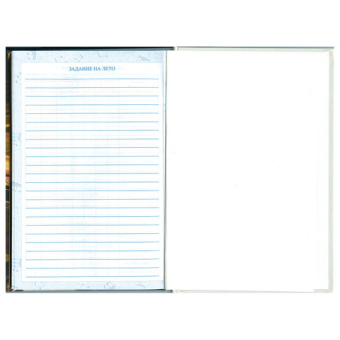 картинка Дневник для музыкальной школы 140х210 мм, 48 л., твердый, BRAUBERG, выборочный лак, справочный материал, "Симфония", 103601 от магазина МОЛТИ