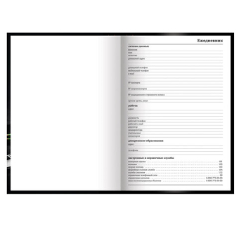 картинка Ежедневник учителя специализированный А5 215х145 мм, BRAUBERG, твердая обложка, 144 л., "Яблоко", 129235 от магазина МОЛТИ