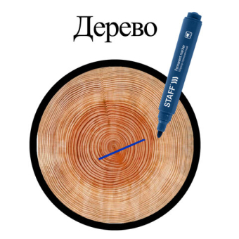 картинка Маркер перманентный STAFF "Basic Budget PM-125", СИНИЙ, круглый наконечник 3 мм, 152175 от магазина МОЛТИ