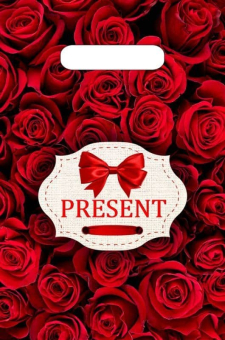 картинка Пакет Презент бордо-пакет вырубной ПВД 300х200х0,030 от магазина МОЛТИ