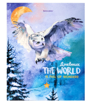 картинка Дневник 1-11 класс 40л, твердый, BRAUBERG, глянцевая ламинация, Сова, 106846 от магазина МОЛТИ