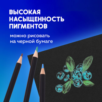 картинка Карандаши художественные цветные BRAUBERG ART CLASSIC, 12 цветов, МЯГКИЙ грифель 3,3 мм, 181536 от магазина МОЛТИ
