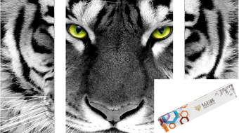 картинка Алмазн. живопись 80*45 ПОЛНОЕ Белый тигр L859 от магазина МОЛТИ