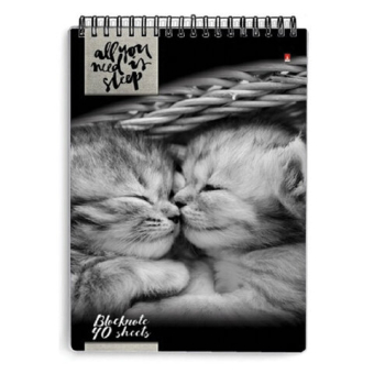 картинка Блокнот А5, 40 л., гребень, ламинированный картон, клетка, Альт, "Кошки", (5 видов), 3-40-462 от магазина МОЛТИ