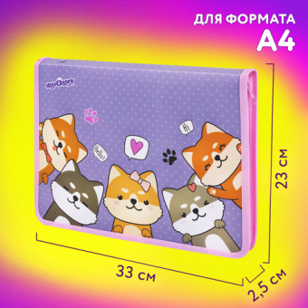 картинка Папка для труда на молнии ЮНЛАНДИЯ А4, 1 отделение, откидная планка, органайзер, "Best fellows", 273392 от магазина МОЛТИ