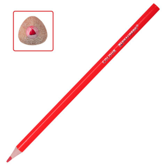 картинка Карандаши цветные BRAUBERG KIDS NEW, 50 цветов, трехгранные, грифель 3 мм, 182004 от магазина МОЛТИ