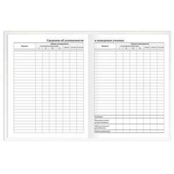 картинка Дневник 1-11 класс 40 л., твердый, BRAUBERG, матовая ламинация, БЕЛЫЙ, 105540 от магазина МОЛТИ