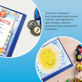 картинка Папка 40 вкладышей BRAUBERG стандарт, синяя, 0,7 мм, 221603 от магазина МОЛТИ