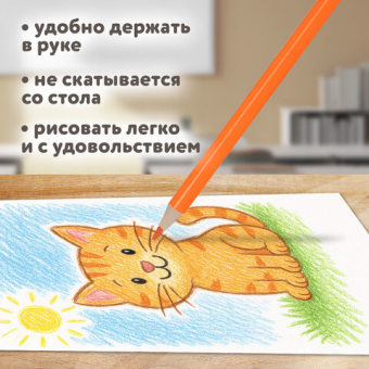 картинка Карандаши цветные BRAUBERG KIDS NEW, 50 цветов, трехгранные, грифель 3 мм, 182004 от магазина МОЛТИ