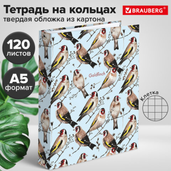 картинка Тетрадь на кольцах А5 (175х215 мм), 120 листов, твердый картон, клетка, BRAUBERG, Щеглы, 404079 от магазина МОЛТИ