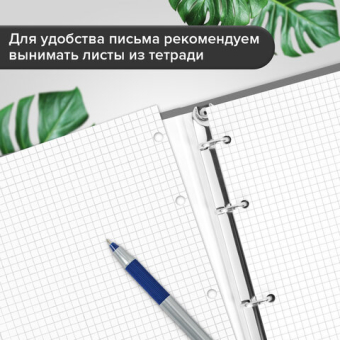 картинка Тетрадь на кольцах А5 160х212 мм, 120 листов, картон, выборочный лак, клетка, BRAUBERG, "Капибары", 404731 от магазина МОЛТИ