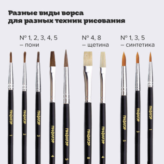 картинка Кисти ПИФАГОР, набор 10 шт. (ПОНИ: плоская № 4, круглые № 1, 2, 3, 5; СИНТЕТИКА: круглые № 1, 3, 5; ЩЕТИНА: плоские № 4, 8), блистер, 200505 от магазина МОЛТИ