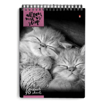 картинка Блокнот А5, 40 л., гребень, ламинированный картон, клетка, Альт, "Кошки", (5 видов), 3-40-462 от магазина МОЛТИ