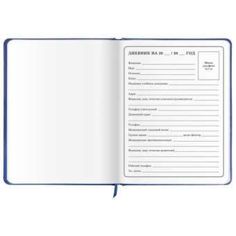 картинка Дневник 1-4 класс 48 л., кожзам (твердая с поролоном), печать, аппликация, ЮНЛАНДИЯ, "Гонка!", 106214 от магазина МОЛТИ