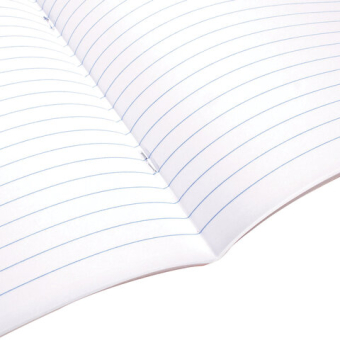 картинка Тетрадь А5 48 л. BRAUBERG скоба, линия, обложка картон, "LINE" (микс в спайке), 404384 от магазина МОЛТИ