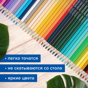 картинка Карандаши цветные супермягкие яркие BRAUBERG MAX, 72 цвета, шестигранные, грифель 3,3 мм, натуральное дерево, 181861 от магазина МОЛТИ