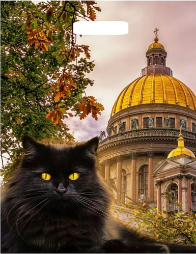 ПР 31х40 60мкм "Осень в северной столице" Глян 500/пак