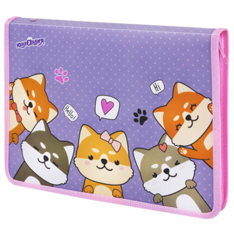 картинка Папка для труда на молнии ЮНЛАНДИЯ А4, 1 отделение, откидная планка, органайзер, "Best fellows", 273392 от магазина МОЛТИ