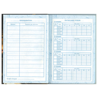 картинка Дневник для музыкальной школы 140х210 мм, 48 л., твердый, BRAUBERG, выборочный лак, справочный материал, "Симфония", 103601 от магазина МОЛТИ