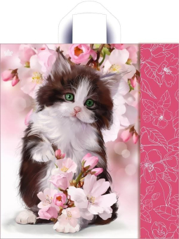 картинка Пакет Котенок в цветах-пакет петлевой ПВД 435х400х0,035 от магазина МОЛТИ