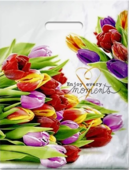 картинка Полиэтиленовый пакет ламинат 31х40 60мкм Этюд от магазина МОЛТИ