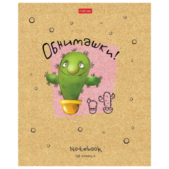 картинка Тетрадь А5 48 л. HATBER скоба, клетка, матовая ламинация, "Мой друг Кактус" (микс в спайке), 074454, 48Т5лВ1 от магазина МОЛТИ