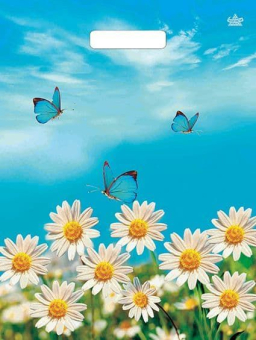 картинка Пакет Радость лета-пакет вырубной Ламинат 400х370х0,095 от магазина МОЛТИ