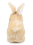картинка Кролик TY КНБ16 на ботарейках 16 см. от магазина МОЛТИ