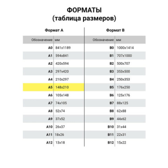 картинка Тетрадь на кольцах А5 (180х220 мм), 80 листов, под кожу, клетка, тиснение фольгой, BRAUBERG VISTA, Avocado, 112130 от магазина МОЛТИ