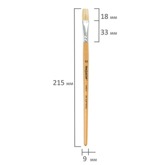 картинка Кисть ПИФАГОР, щетина, плоская, № 10, 200874 от магазина МОЛТИ