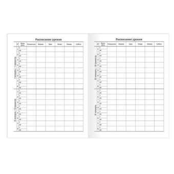 картинка Дневник 1-11 класс 40 л., на скобе, ПИФАГОР, обложка картон, БЕЛЫЙ, 105509 от магазина МОЛТИ