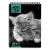 картинка Блокнот А5, 40 л., гребень, ламинированный картон, клетка, Альт, "Кошки", (5 видов), 3-40-462 магазин МОЛТИ оптовый магазин. картинка Блокнот А5, 40 л., гребень, ламинированный картон, клетка, Альт, "Кошки", (5 видов), 3-40-462 от магазина МОЛТИ