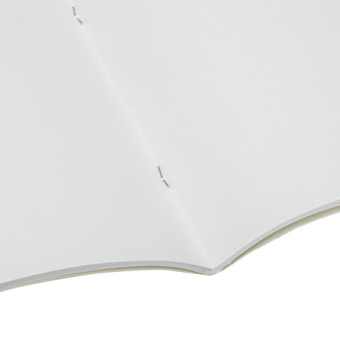 картинка Альбом для рисования, А4, 32 листа, скоба, обложка картон, BRAUBERG, 200х283 мм, "Живая природа" (2 вида), 103683 от магазина МОЛТИ