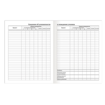 картинка Дневник 1-11 класс 40 л., на скобе, ПИФАГОР, обложка картон, БЕЛЫЙ, 105509 от магазина МОЛТИ